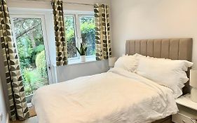 Little Vine - Beautiful Ground Floor Flat In South London